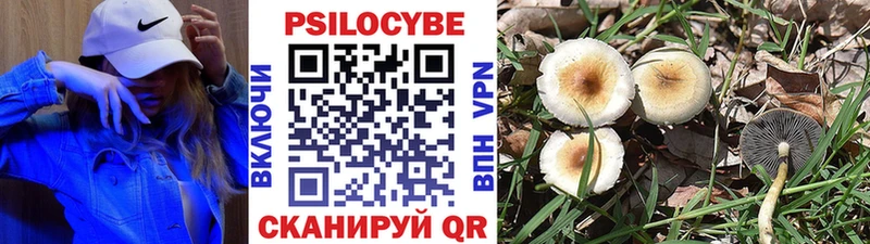 купить наркотики сайты  Нарьян-Мар  Галлюциногенные грибы прущие грибы 